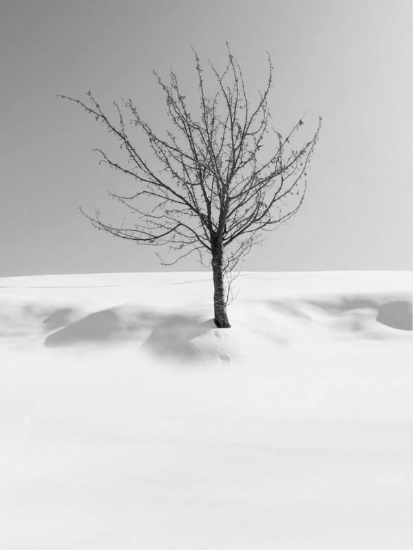 Vacío fértil en Gestalt: del aburrimiento a la creatividad auténtica